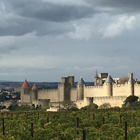 Les Orchidees Apartment Carcassonne Luaran gambar
