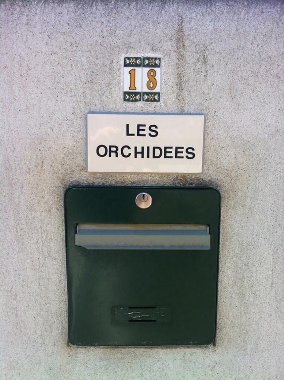 Les Orchidees Apartment Carcassonne Luaran gambar
