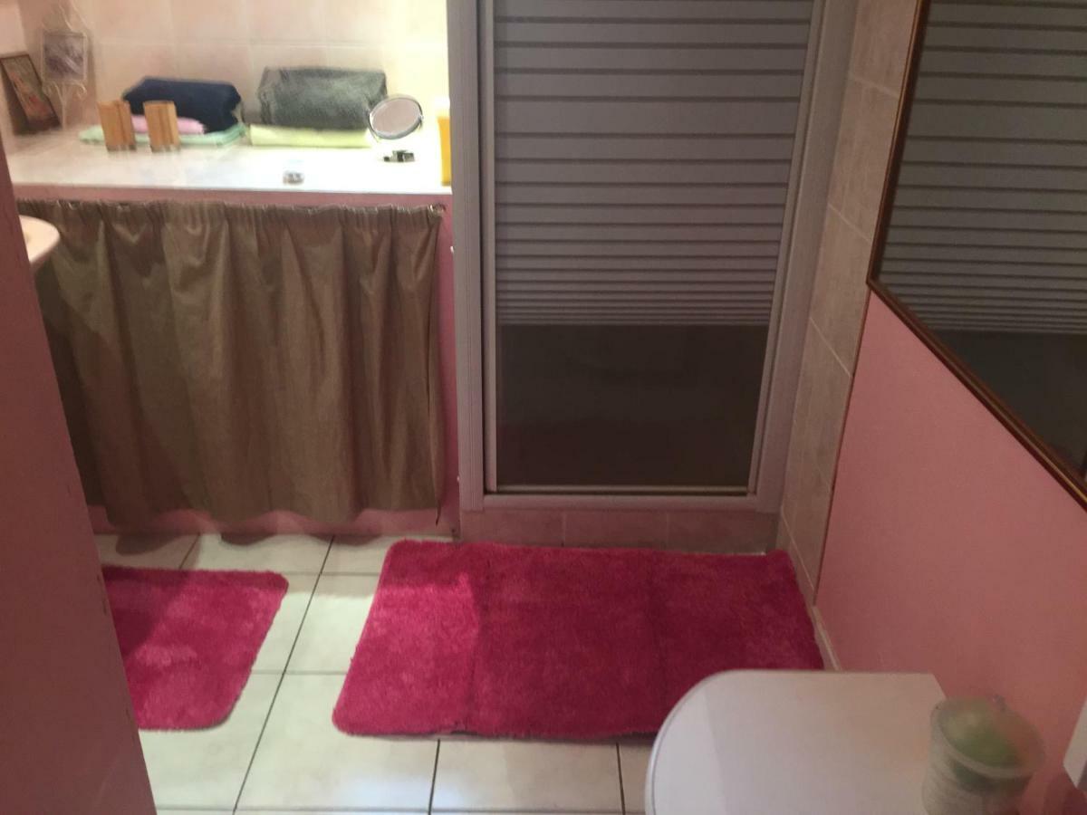 Les Orchidees Apartment Carcassonne Luaran gambar