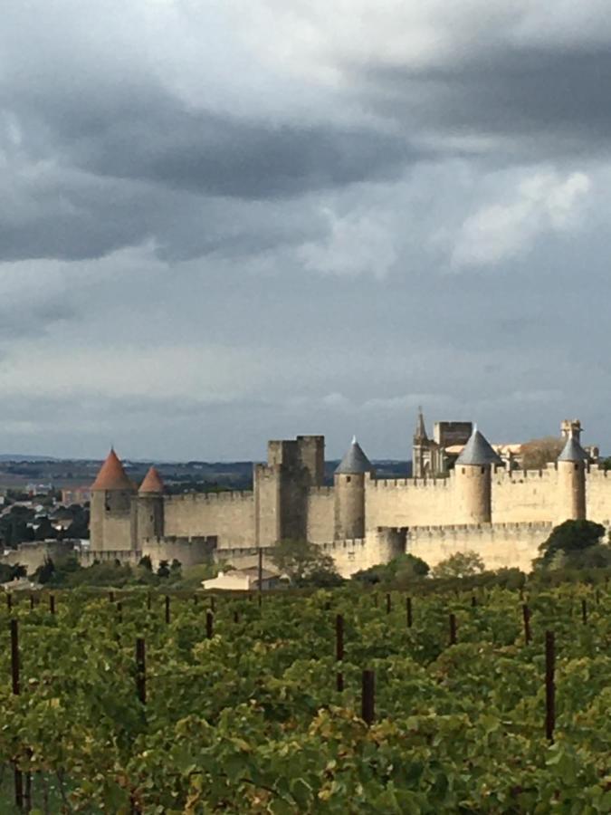 Les Orchidees Apartment Carcassonne Luaran gambar
