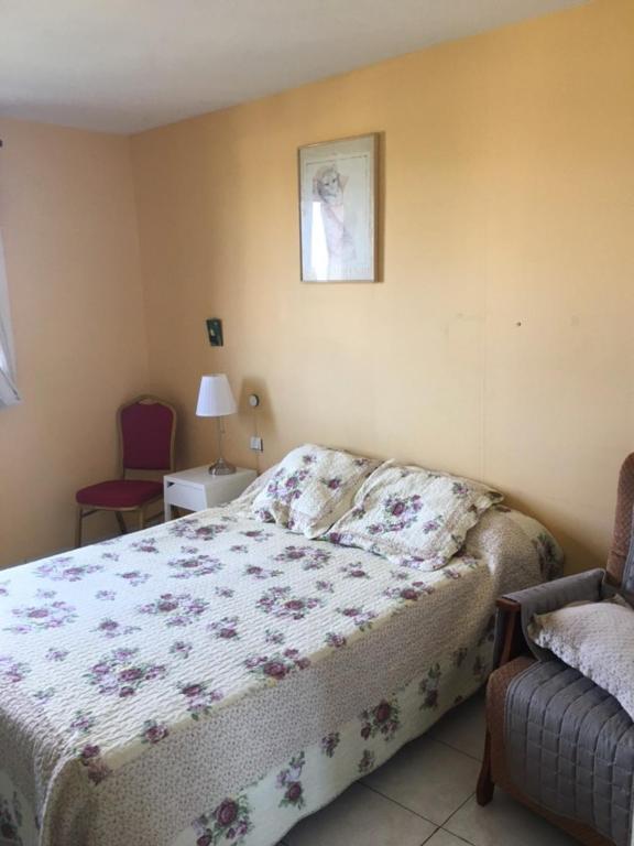 Les Orchidees Apartment Carcassonne Luaran gambar
